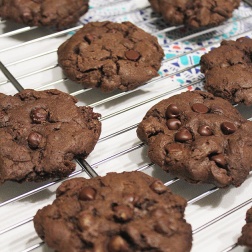 double chocolate chip cookies
