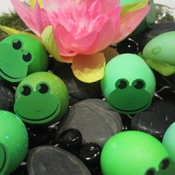 Frogs Easter eggs |marmite et ponpon